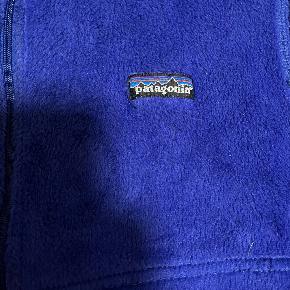 Mens Patagonia vest